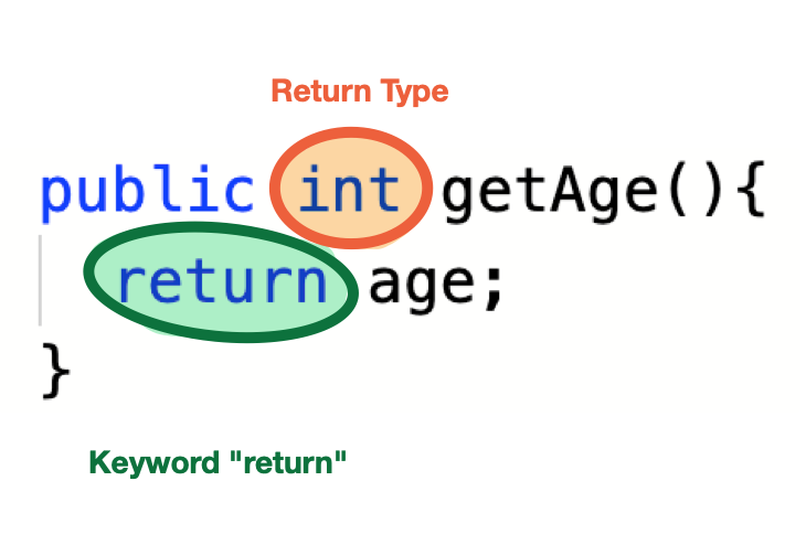 Circle return type and the keyword return.